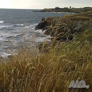 image_46
