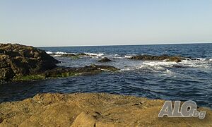 image_48