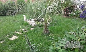 image_29
