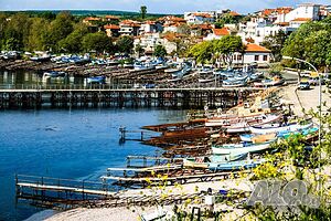 image_42