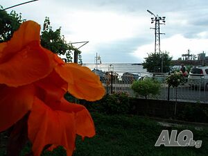 image_37