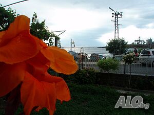 image_15