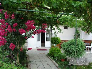 image_10