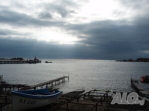 image_11