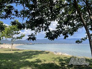 image_36