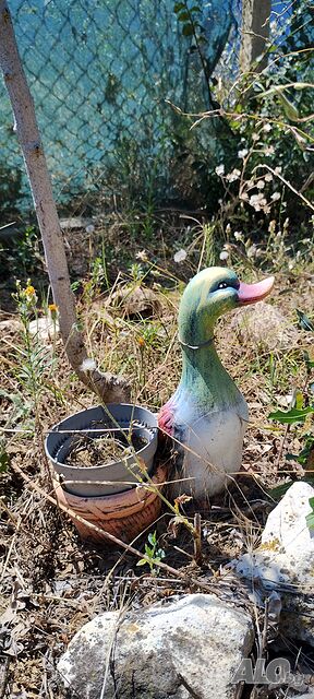 image_13