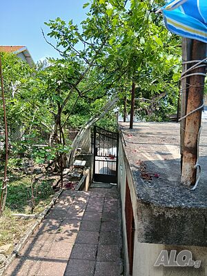 image_14