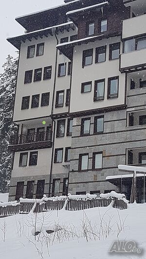 image_9