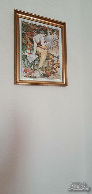 image_14