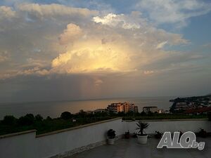 image_6