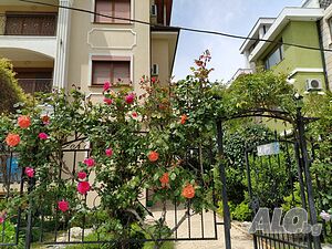 image_12