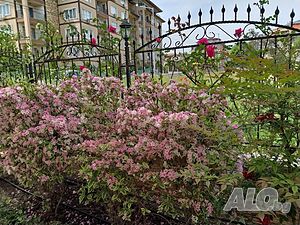 image_13