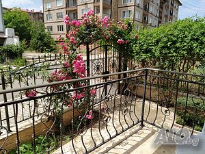 image_19