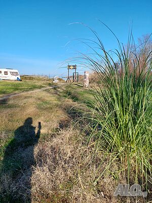 image_29
