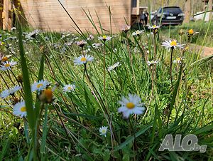 image_23