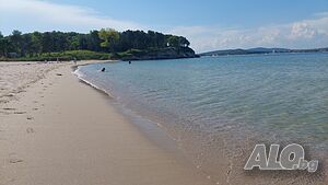 image_31