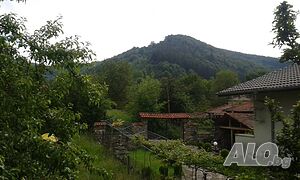 image_22