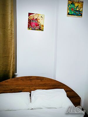 Стая под наем Стая за гости