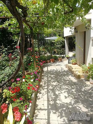 image_16