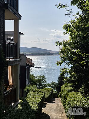 image_12
