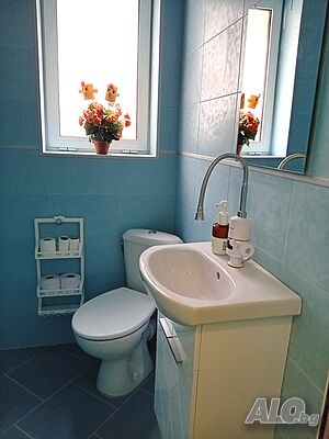 image_6