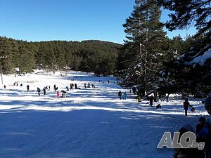 image_21