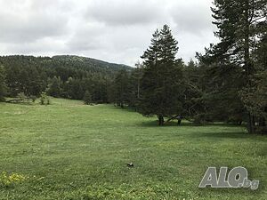 image_11