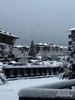 image_11