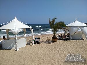 image_11