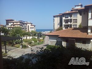 image_11