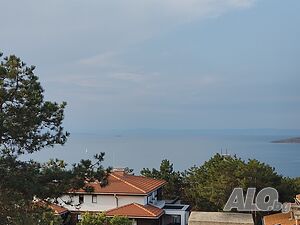 image_11