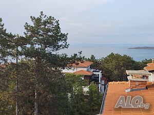 image_12