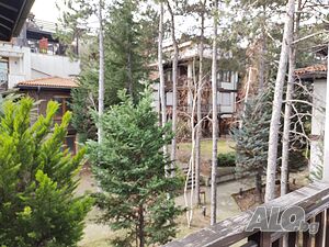 image_10