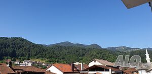 image_19