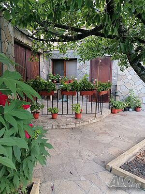 image_34
