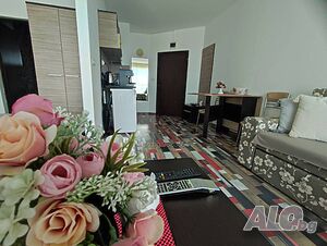 image_11
