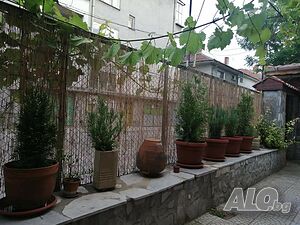 image_23