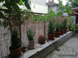 image_18