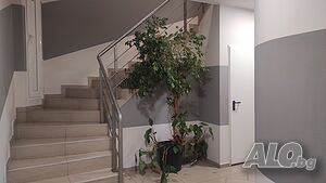 image_19