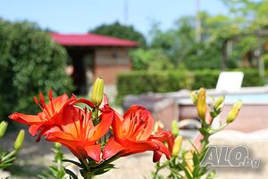 image_17