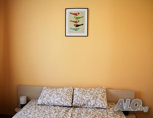 image_18