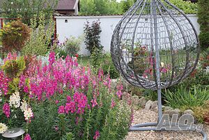 image_28