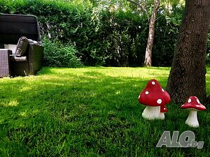 image_5