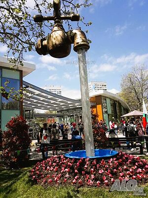 image_48
