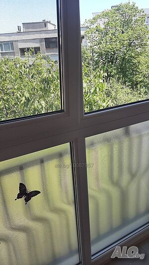 image_31