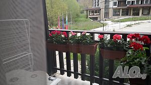 image_12
