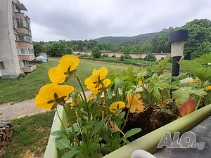 image_7