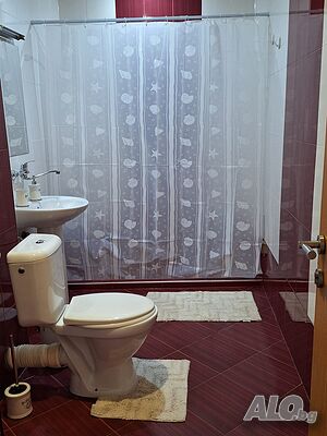 image_11
