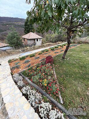 image_16