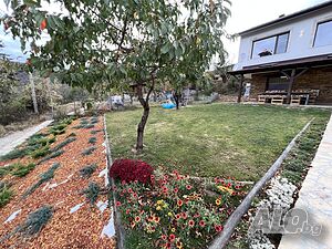 image_18
